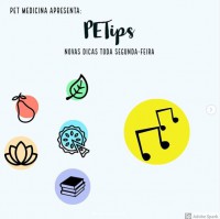 /album/petips-parte-vii/s1-jpg/